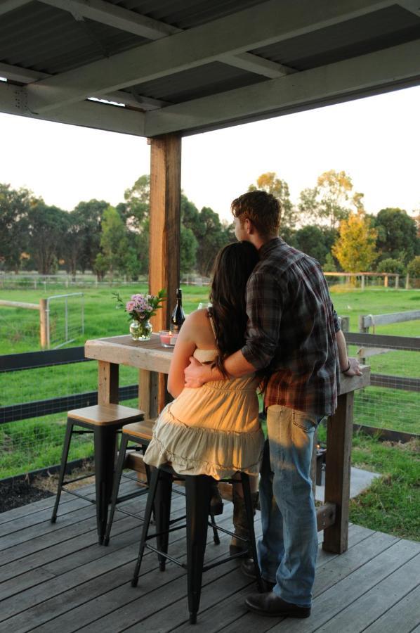 לינה וארוחת בוקר סייל Wagtail Nest Country Retreat - Longford Vic 3851 מראה חיצוני תמונה
